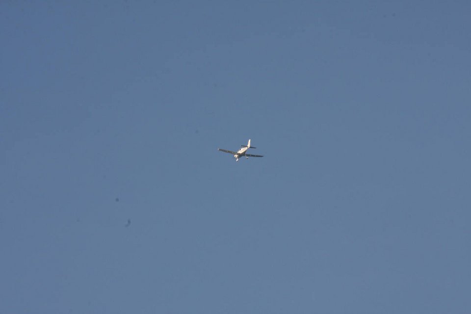 IMG 9439