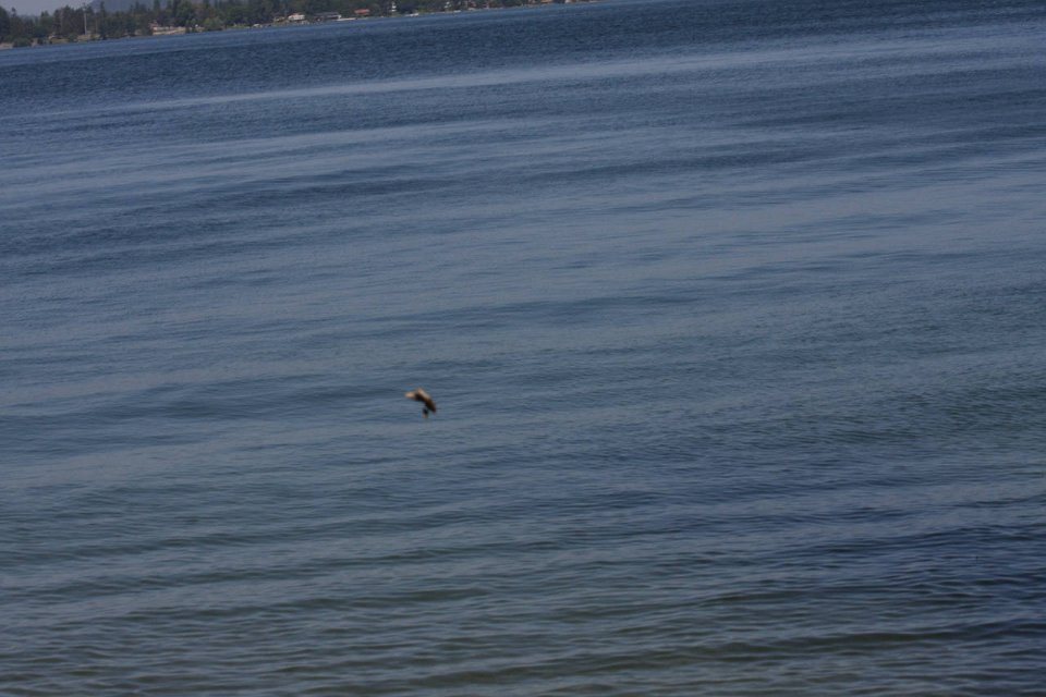 IMG 9695