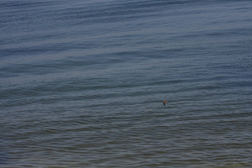 IMG 9696