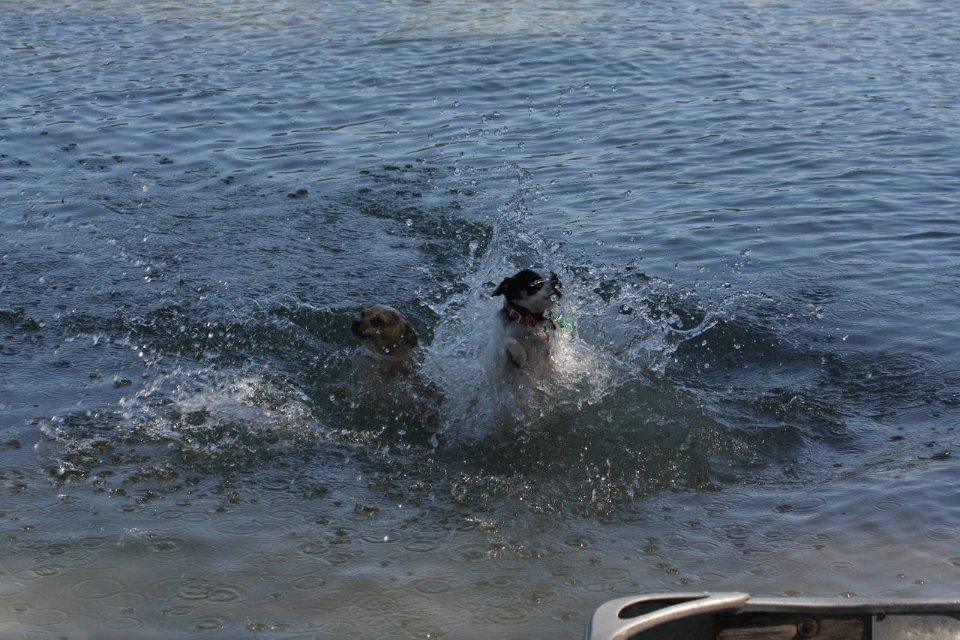 IMG 9738