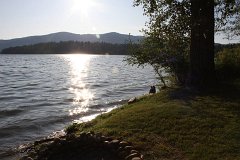 IMG 9118