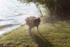 IMG 9134