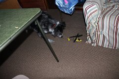IMG 9150