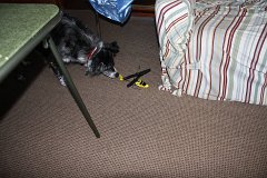 IMG 9151