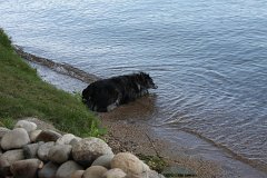IMG 9153