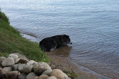 IMG 9154