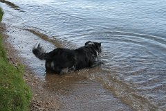 IMG 9155