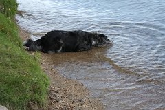 IMG 9159