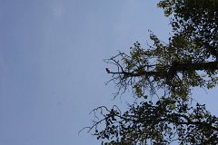 IMG 9165