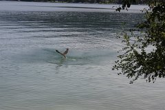 IMG 9172