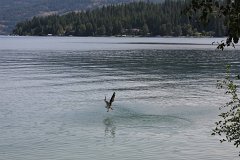 IMG 9173