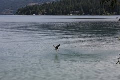 IMG 9174