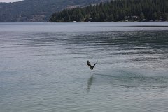 IMG 9175