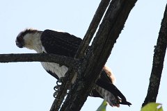 IMG 9193