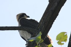 IMG 9194