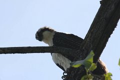 IMG 9202