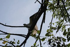 IMG 9219
