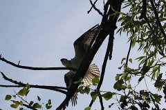 IMG 9221