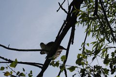 IMG 9224