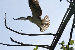 IMG 9226