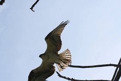 IMG 9228