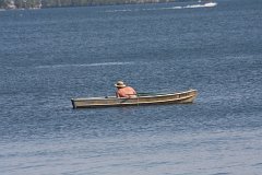 IMG 9254