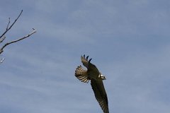 IMG 9269