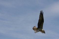 IMG 9270