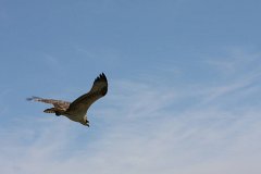 IMG 9273