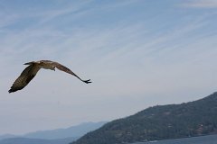 IMG 9274