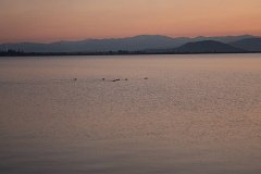 IMG 9305