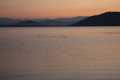 IMG 9307