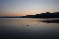 IMG 9323