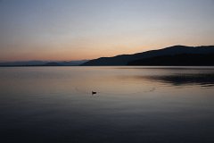 IMG 9324