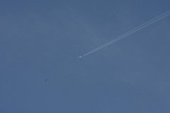 IMG 9403