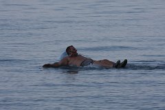 IMG 9417