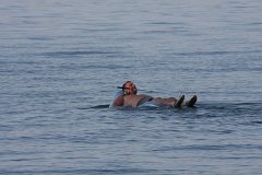 IMG 9420