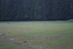 IMG 9443