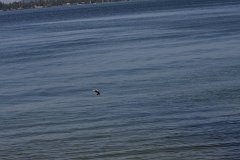IMG 9695