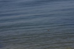 IMG 9696