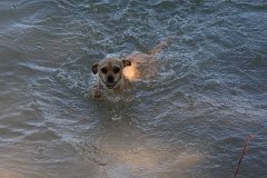 IMG 9706