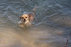 IMG 9709