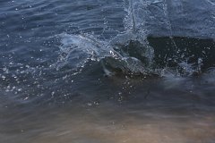 IMG 9712