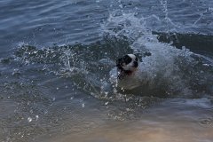 IMG 9713
