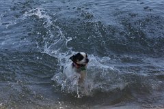 IMG 9714