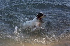 IMG 9716