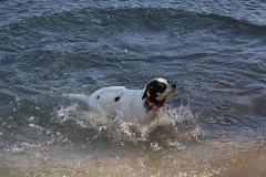 IMG 9717