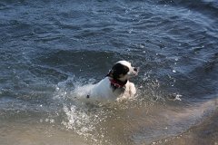 IMG 9718
