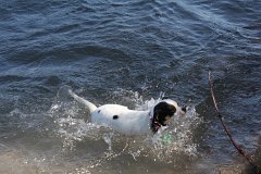 IMG 9720