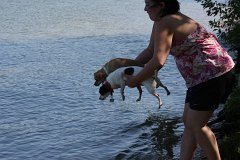 IMG 9731